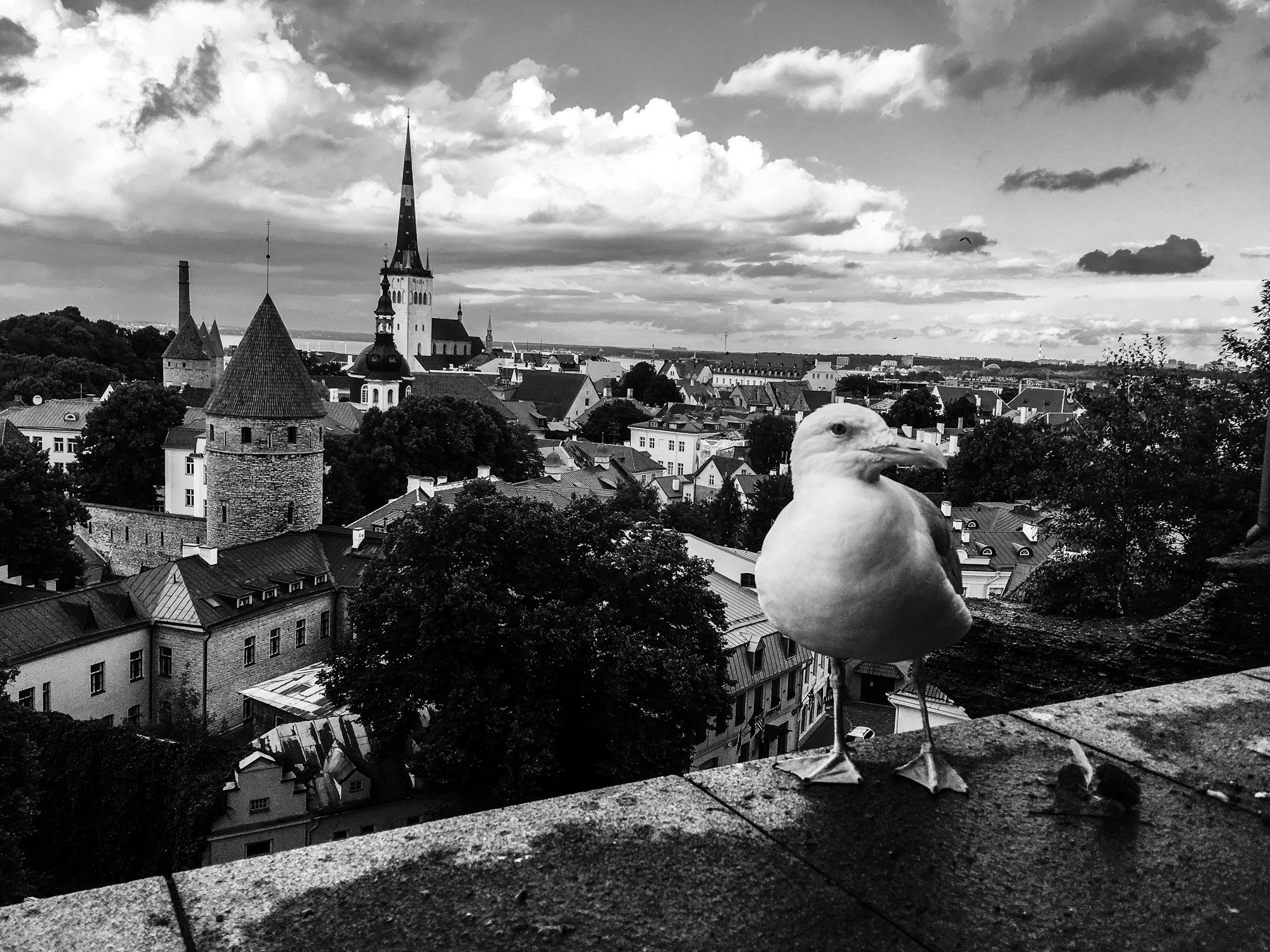 Inside the Baltic States