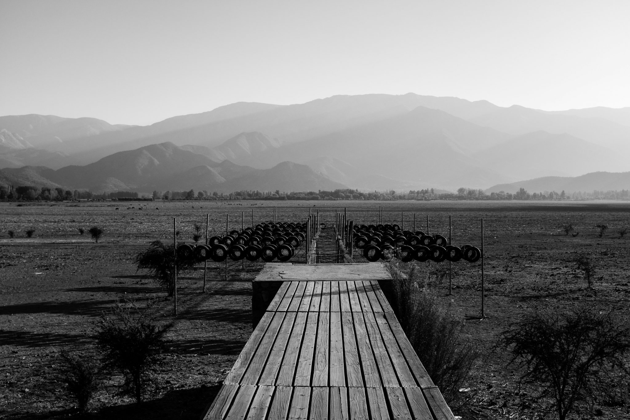 Drought in the Andes B/W