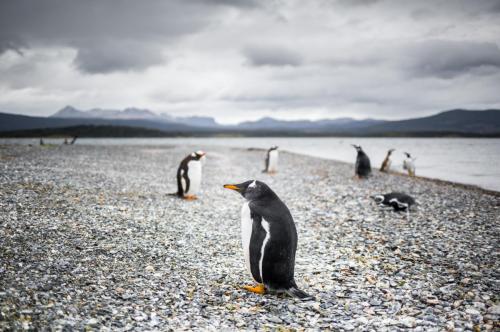  MG 0552 LR 30cm 1 (1)